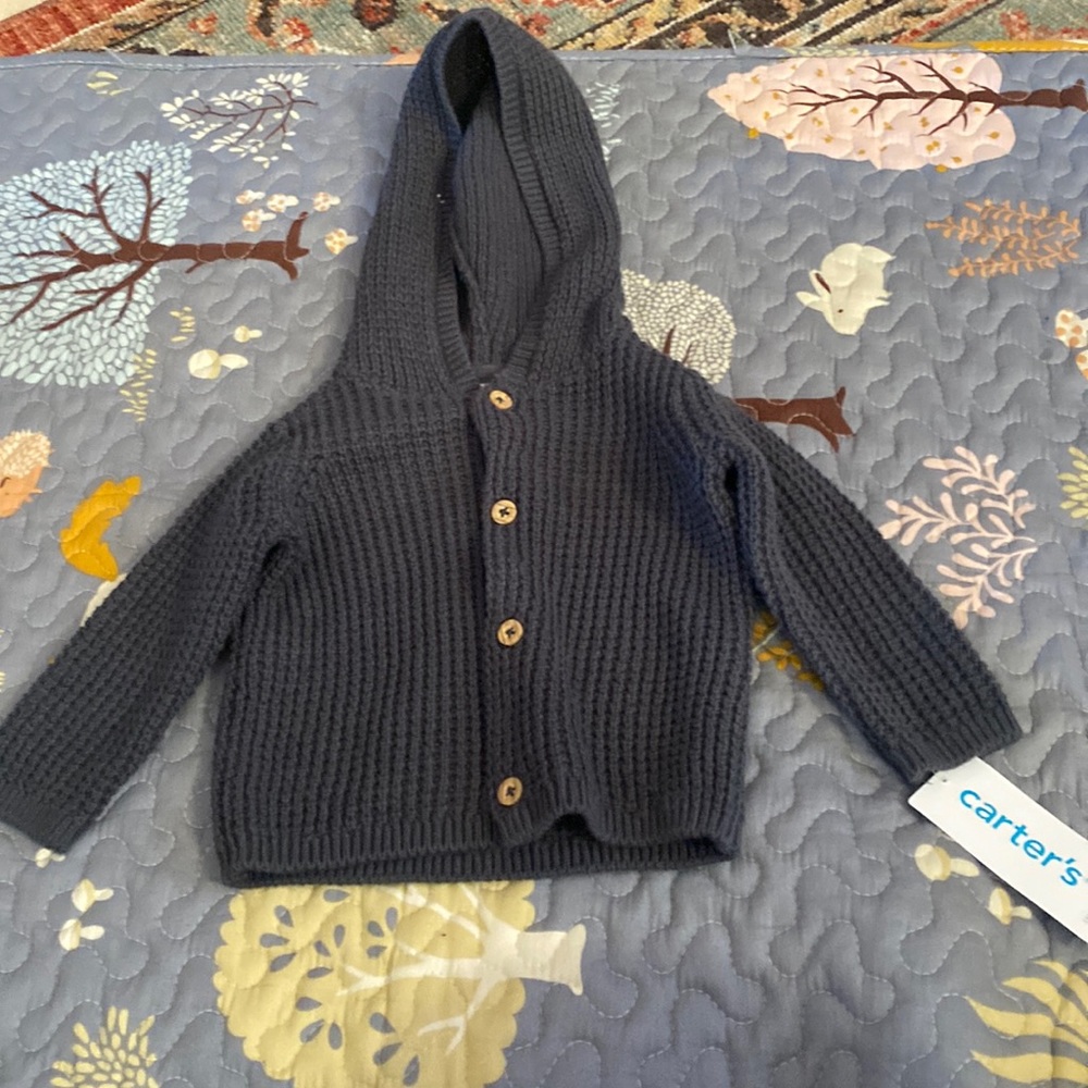 Carters hooded sweater